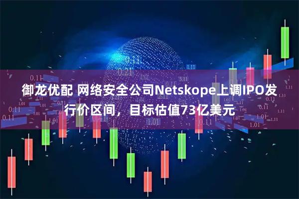 御龙优配 网络安全公司Netskope上调IPO发行价区间，目标估值73亿美元