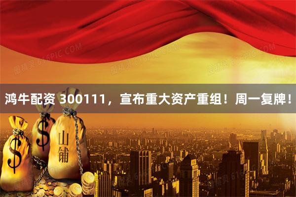 鸿牛配资 300111，宣布重大资产重组！周一复牌！