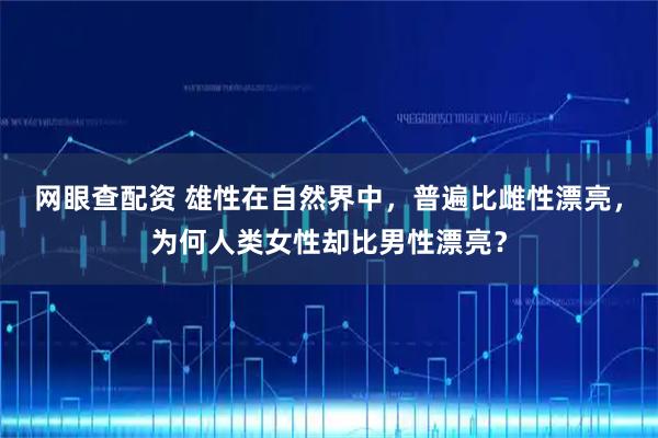网眼查配资 雄性在自然界中，普遍比雌性漂亮，为何人类女性却比男性漂亮？