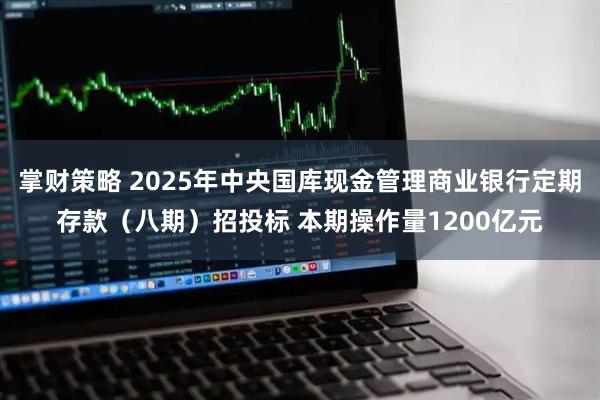 掌财策略 2025年中央国库现金管理商业银行定期存款（八期）招投标 本期操作量1200亿元