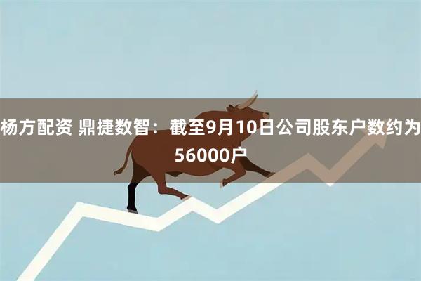 杨方配资 鼎捷数智：截至9月10日公司股东户数约为56000户