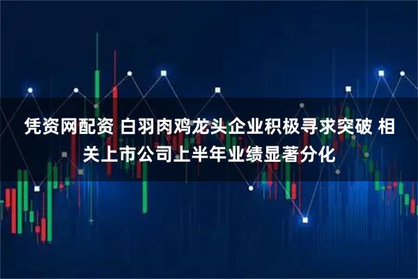 凭资网配资 白羽肉鸡龙头企业积极寻求突破 相关上市公司上半年业绩显著分化